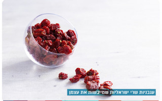 Israeli Cherry Tomatoes That Dry Themselves In The Sun