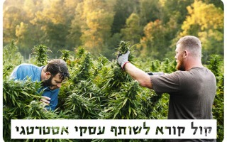 Open Call - Cannabis Research Partner