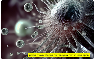 T-Cells Activation Research by HUJI Alumni