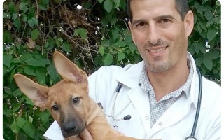 Dr. Tal Assif - New veterinary service manager