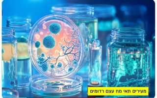Waking Dormant Bone Marrow Cells