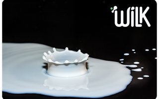 Wilk received 3.5 mil round investment from Danone