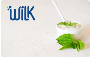 Wilk Creates First Cultured Yogurt