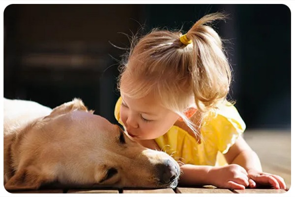 Animal Therapy - Magid