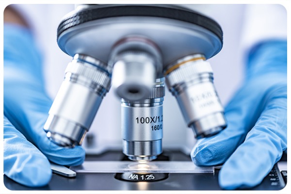 HUJI Alumni say theyve found Achilles heel of cancer cells