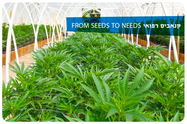 Medical Cannabis Course 2021