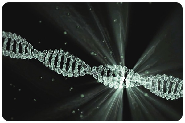 New DNA current research