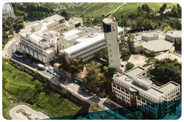 50 הנשים המובילות בעולם הטכנולוגיה לפי פורבס