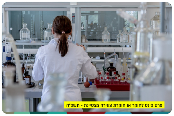 Leading Young Researcher Prize 2025