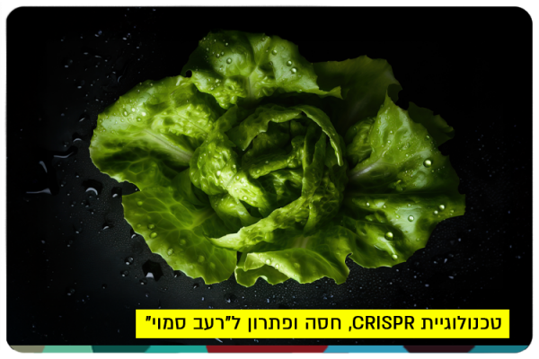 CRISPR, lettuce and hidden hunger