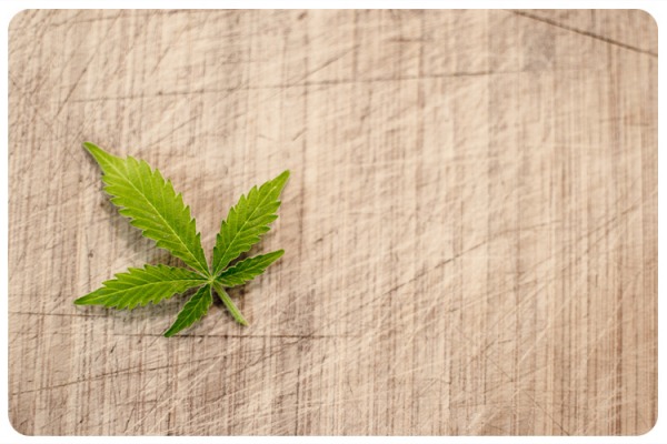 Medical Cannabis Effects on Children