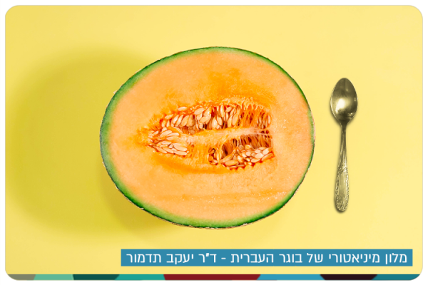 Miniature Melon by Dr. Yaakov Tadmor
