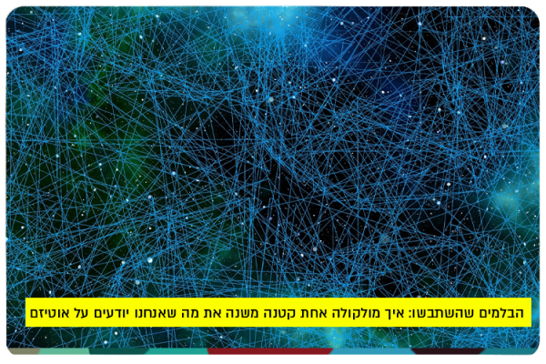 Broken Brakes, Nitric Oxide and Autism