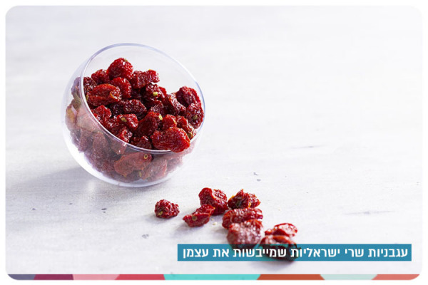 Israeli Cherry Tomatoes That Dry Themselves In The Sun