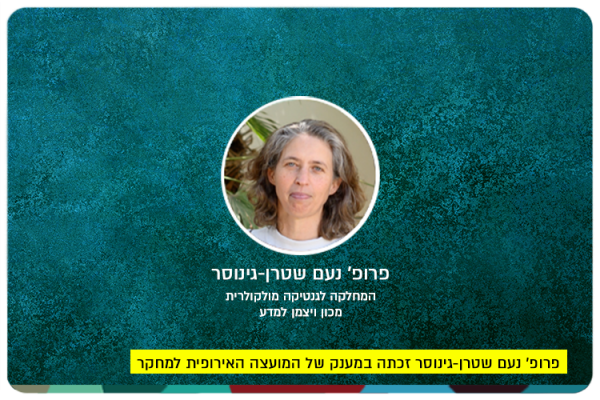 Prof. Noam Stern-Ginossar - ERC Grant 2024
