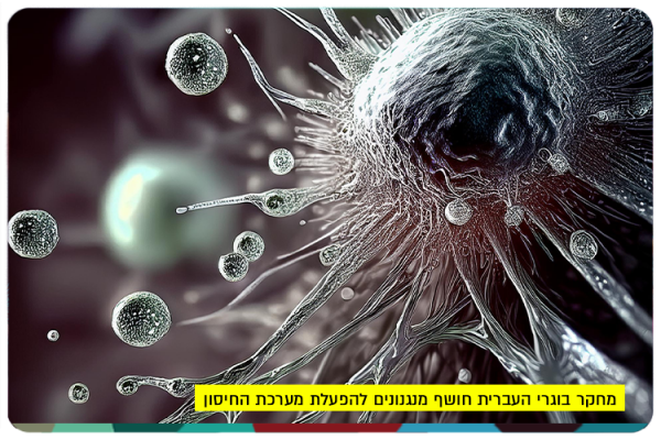 מחקר בוגרי העברית חושף מנגנונים להפעלת מערכת החיסון T-Cells Activation Research by HUJI Alumni