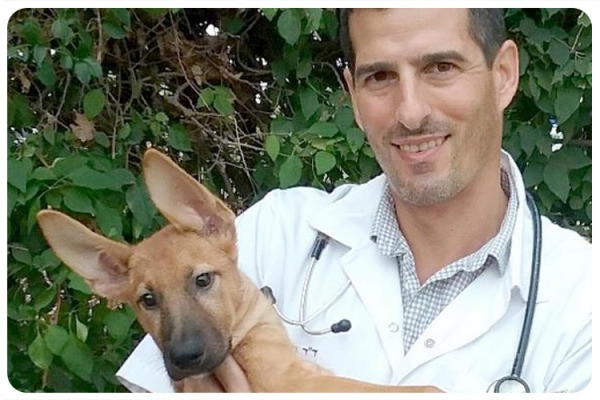 Dr. Tal Assif - New veterinary service manager