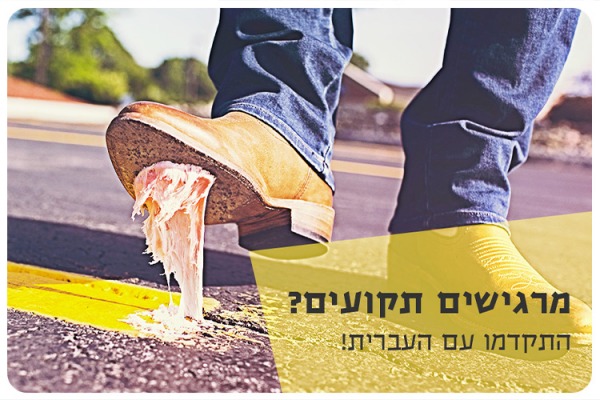 שני כיוונים מבית האוניברסיטה העברית שכל אחד מהם הוא מפתח לעתיד טוב יותר. Special Teaching programs