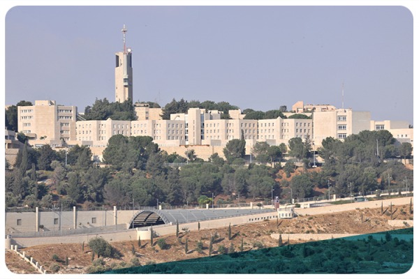 Hebrew University among the top 100