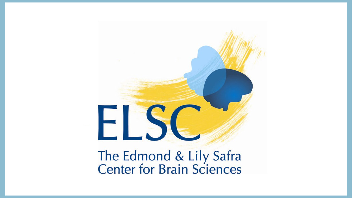 מדעי המוח והקוגניציה